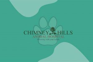 Chimney Hills Animal Hospital: Your Pet's Health & Care | Chimney Works – Expert Chimney Repair, Cleaning & Installation Services