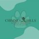 Chimney Hills Animal Hospital: Your Pet's Health & Care | Chimney Works – Expert Chimney Repair, Cleaning & Installation Services
